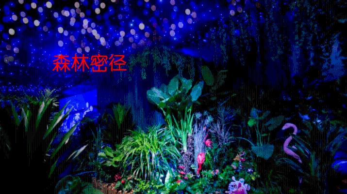 2024海口春节推出100项文旅精品活动(附活动名单)